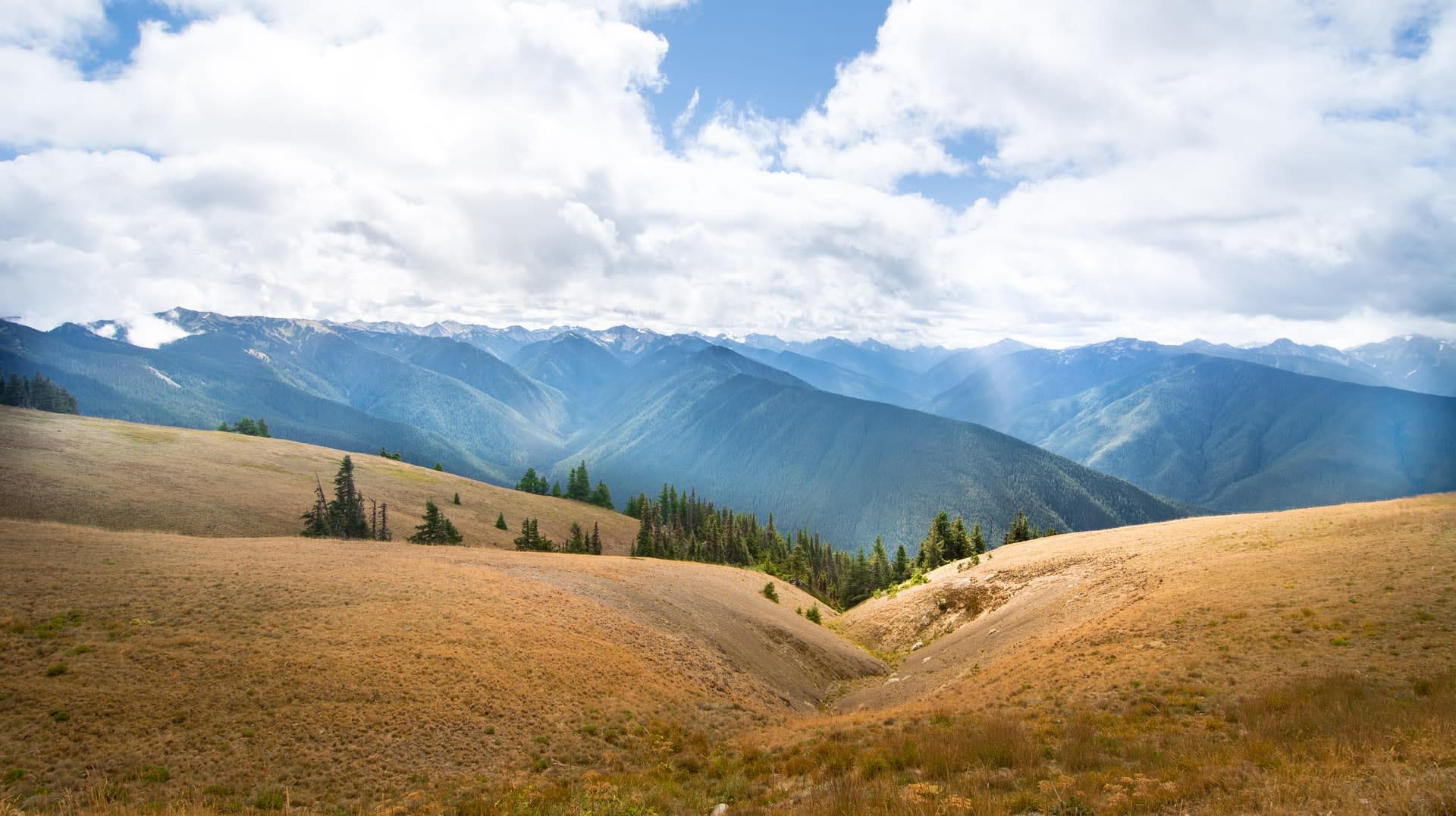 hurricane ridge one of the most scenic hikes on the west coast